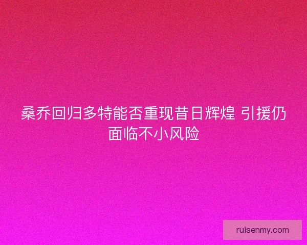 桑乔回归多特能否重现昔日辉煌 引援仍面临不小风险