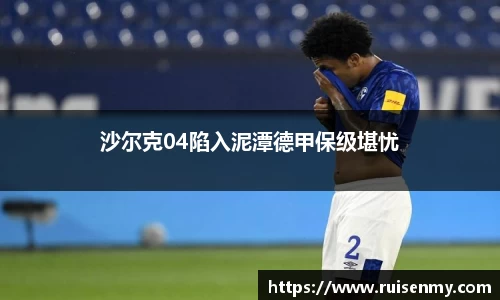 EMC易倍