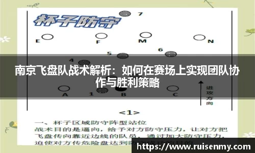 EMC易倍