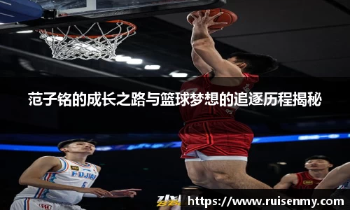 EMC易倍